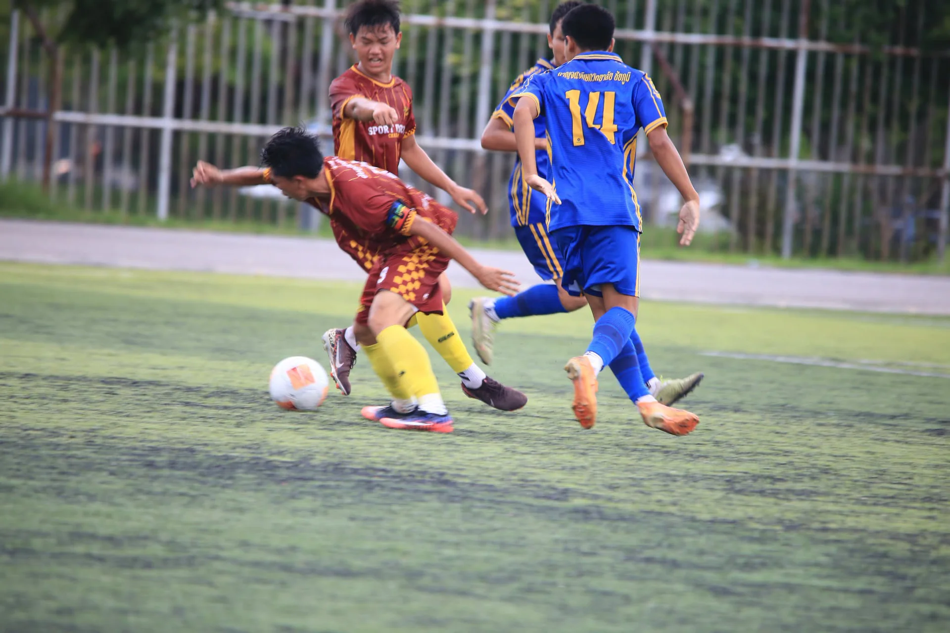 Gallery image 28